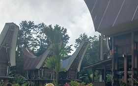 Toraja Homestay & Coffee Bunna
