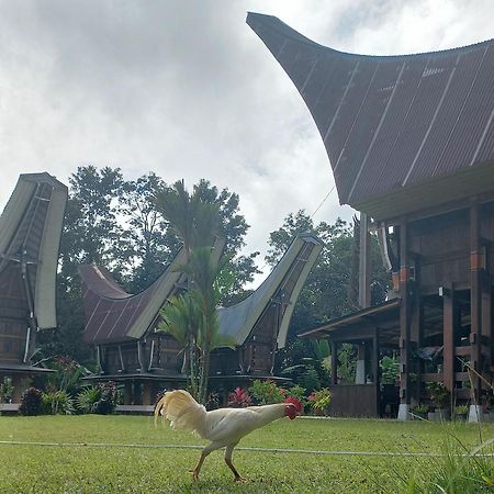 Toraja Homestay & Coffee Bunna Rantepao Zewnętrze zdjęcie